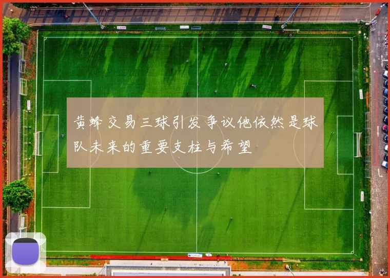 黄蜂交易三球引发争议他依然是球队未来的重要支柱与希望