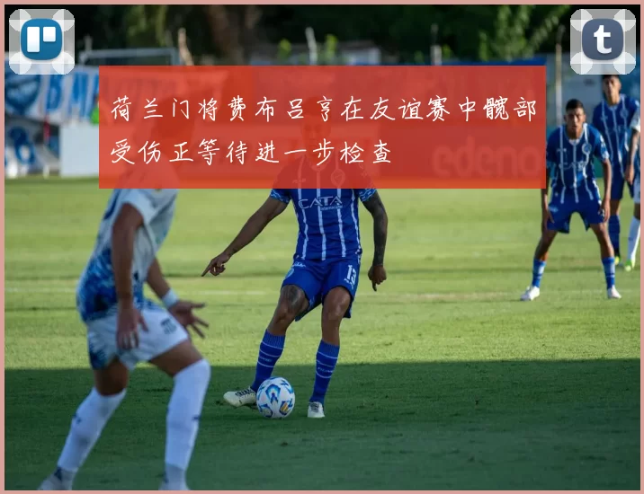 荷兰门将费布吕亨在友谊赛中髋部受伤正等待进一步检查
