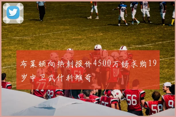 布莱顿向热刺报价4500万镑求购19岁中卫武什科维奇